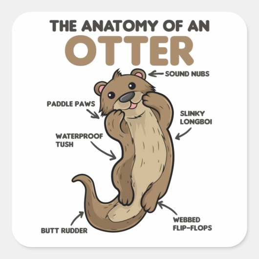 Anatomie eines Otters mit niedlicher Otter Quadratischer Aufkleber (Vorderseite)