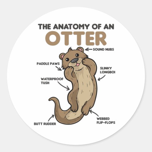 Anatomie eines Otters mit niedlicher Otter Runder Aufkleber (Vorderseite)