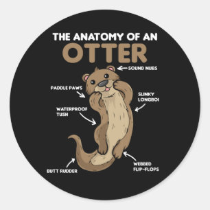 Anatomie eines Otters mit niedlicher Otter Runder Aufkleber