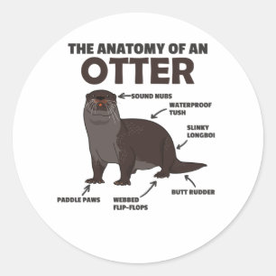 Anatomie eines Otters mit niedlicher Otter Runder Aufkleber