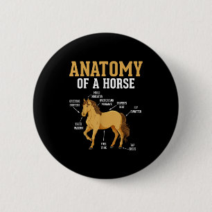 Anatomie eines Pferdes Funny Reittier Neigh Horse Button