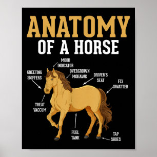 Anatomie eines Pferdes Funny Reittier Neigh Horse Poster
