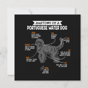 Anatomie eines portugiesischen Wasserhunds - Gesch Einladung
