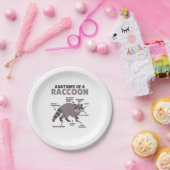 Anatomie eines Raccoon Pappteller (Party)