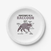 Anatomie eines Raccoon Pappteller (Vorderseite)