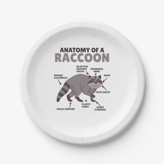 Anatomie eines Raccoon Pappteller (Vorderseite)