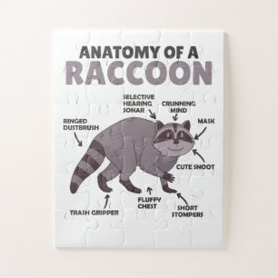 Anatomie eines Raccoon Puzzle
