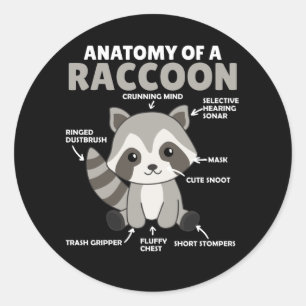 Anatomie eines Raccoon Runder Aufkleber