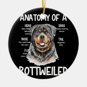 Anatomie eines Rottweilers für Hundeliebhaber Keramik Ornament