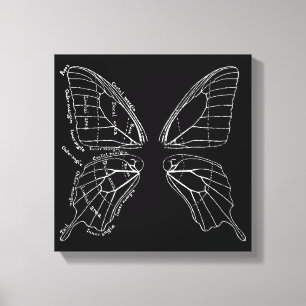 Anatomie eines Schmetterlings-Flügel-Vintagen Leinwanddruck