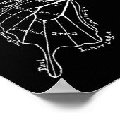 Anatomie eines Schmetterlingsflügels Vintages Diag Poster (Ecke)