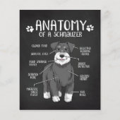 Anatomie eines Schnauzer-Lover-Geschenks Flyer (Vorne)
