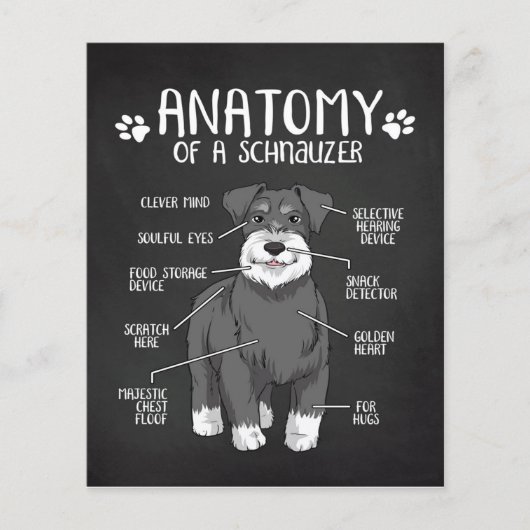 Anatomie eines Schnauzer-Lover-Geschenks Flyer (Vorne)