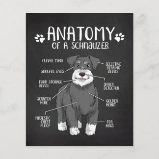 Anatomie eines Schnauzer-Lover-Geschenks Flyer