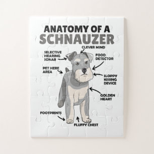 Anatomie eines Schnauzer-Niedlichen Hundes Puzzle