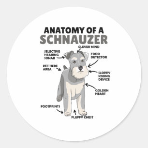 Anatomie eines Schnauzer-Niedlichen Hundes Runder Aufkleber