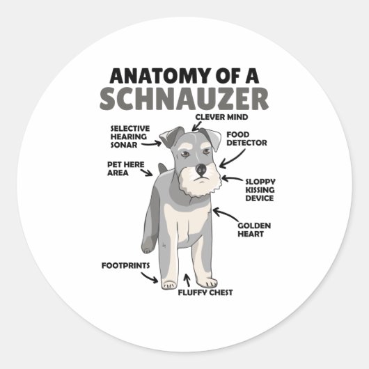 Anatomie eines Schnauzer-Niedlichen Hundes Runder Aufkleber (Vorderseite)