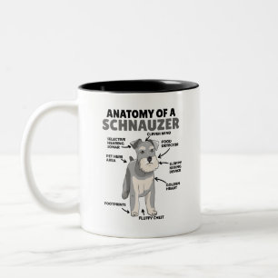 Anatomie eines Schnauzer-Niedlichen Hundes Zweifarbige Tasse