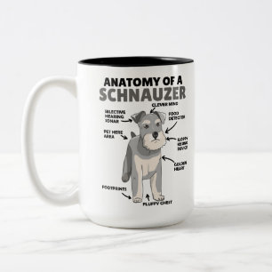 Anatomie eines Schnauzer-Niedlichen Hundes Zweifarbige Tasse