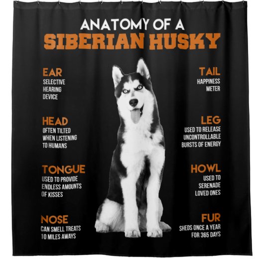 Anatomie eines sibirischen Husky-Hundes witzig Kun Duschvorhang (Vorderseite)