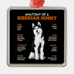 Anatomie eines sibirischen Husky-Hundes witzig Kun Ornament Aus Metall