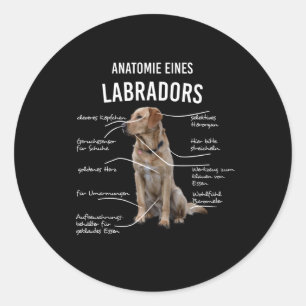 Anatomie eines sonnigen Labrador Retriever Hundes Runder Aufkleber