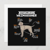 Anatomie eines Weimaraner-Hundes Einladung (Vorne/Hinten)
