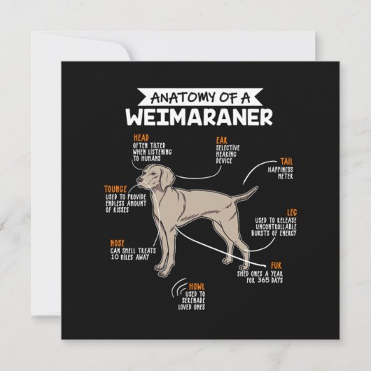 Anatomie eines Weimaraner-Hundes Einladung (Vorderseite)
