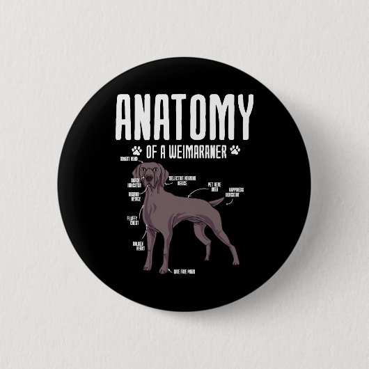 Anatomie eines Weimaraners Button (Vorderseite)