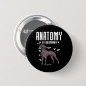 Anatomie eines Weimaraners Button (Vorne & Hinten)