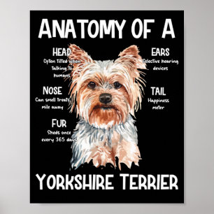 Anatomie eines Yorkshire Terrier für Hundeliebhabe Poster