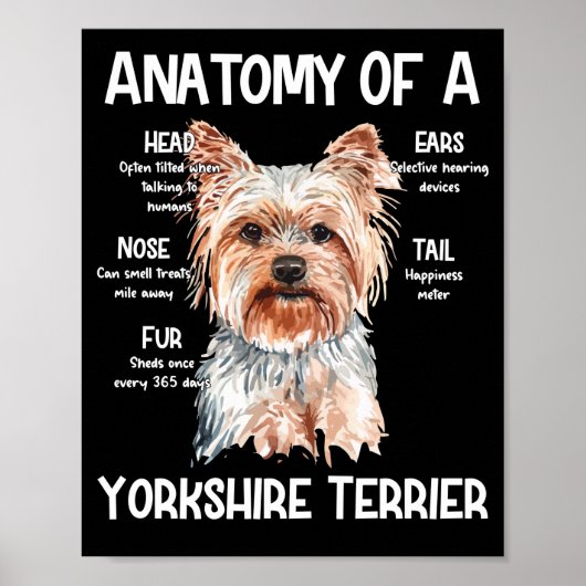 Anatomie eines Yorkshire Terrier für Hundeliebhabe Poster (Vorne)