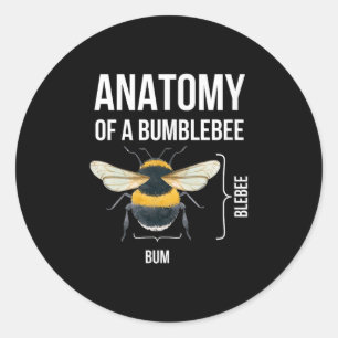 Anatomie eines Zitats eines Hummeln-Funny-Sarcasti Runder Aufkleber