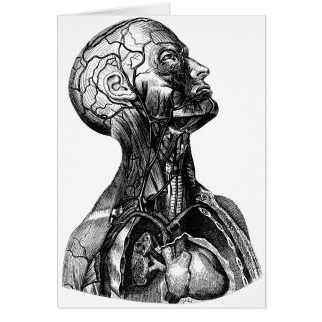 Anatomie-Fehlschlag (Vorne)