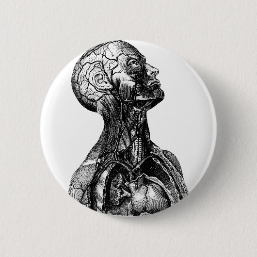 Anatomie-Fehlschlag Button (Vorderseite)