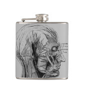 Anatomie Flachmann (Vorderseite)