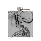 Anatomie Flachmann (Rückseite)