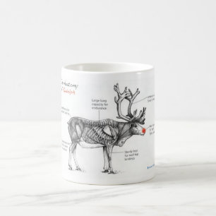 Anatomie geistreicher Illustrationen Rudolphs Kaffeetasse