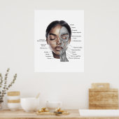 Anatomie-Gesichtsdruck 3 Poster (Küche)