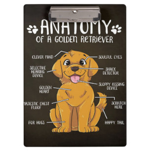 Anatomie Golden Retriever   Golden Retriever Lover Klemmbrett
