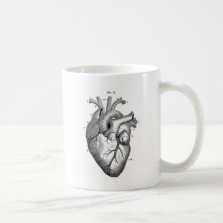 Anatomie-Herz-Bild-Vintag Kaffeetasse
