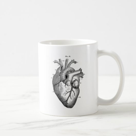 Anatomie-Herz-Bild-Vintag Kaffeetasse (Rechts)