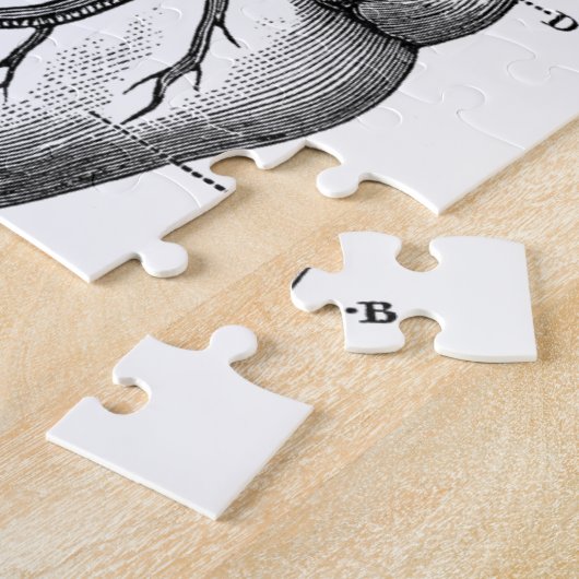Anatomie-Herz-Bild-Vintag Puzzle (Seite)