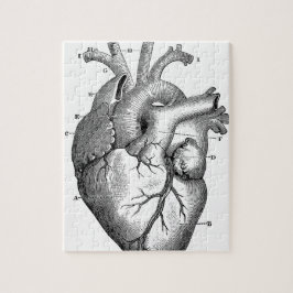 Anatomie-Herz-Bild-Vintag Puzzle