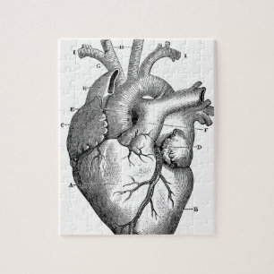 Anatomie-Herz-Bilder-Antik Puzzle