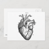 Anatomie-Herz-Bilder-Vintag Postkarte (Vorne/Hinten)