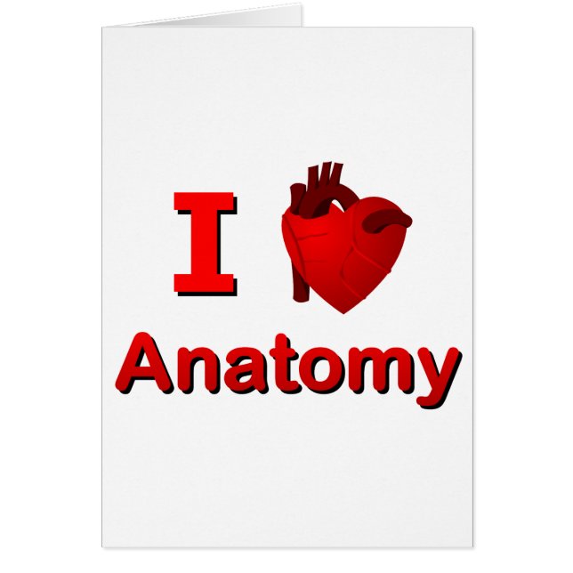 Anatomie I <3 (Vorne)