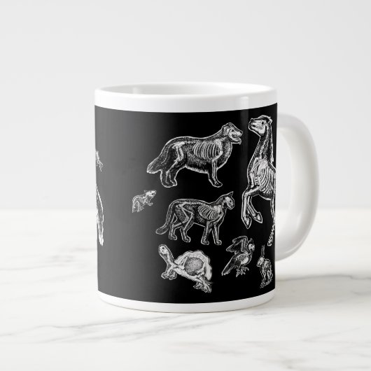 Anatomie Jumbo-Tasse (Vorderseite Rechts)