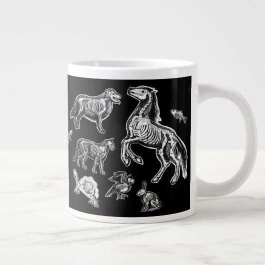 Anatomie Jumbo-Tasse (Rechts)