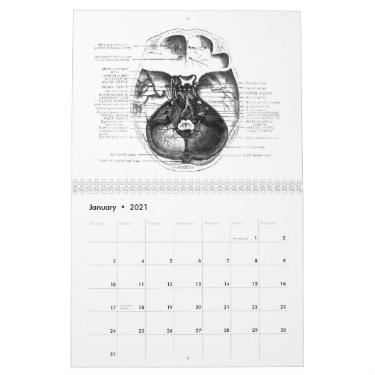 Anatomie Kalender 2021 Kalander jan 2021